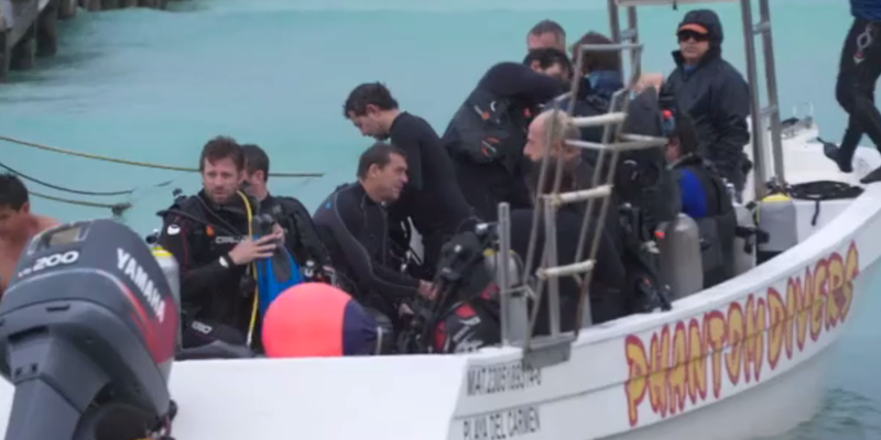 Shark divers.